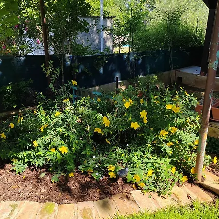 700 M Od Mora Valbandon, Hrvatska Daire Fažana