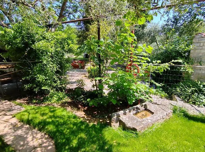 Daire 700 M Od Mora Valbandon, Hrvatska Fažana