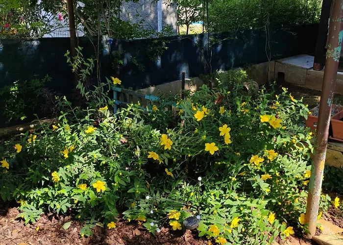 700 M Od Mora Valbandon, Hrvatska Daire Fažana