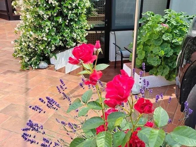 Daire 700 M Od Mora Valbandon, Hrvatska *